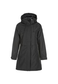Parka dla kobiet Whistler Mullie W-Pro 10000. Kolor: wielokolorowy, szary, czarny. Sezon: zima. Sport: turystyka piesza #1
