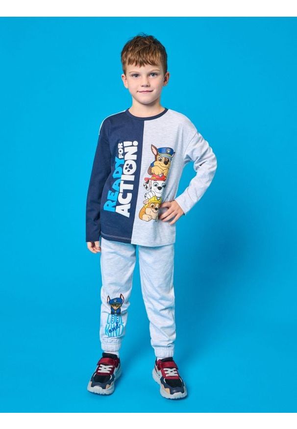 Sinsay - Spodnie dresowe PAW Patrol - szary. Kolor: szary. Materiał: dresówka. Długość: długie. Wzór: nadruk
