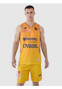 4f - 4F Koszulka meczowa replika domowa z sezonu 2024/25 męska 4F x PLK - Stal Ostrów Wielkopolski - multikolor L. Typ kołnierza: dekolt w serek. Kolor: wielokolorowy. Materiał: włókno, syntetyk, dzianina, materiał. Wzór: geometria, gładki, ze splotem, nadruk, gradientowy. Sport: fitness, koszykówka