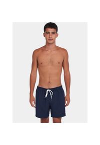 Szorty plażowe męskie O'Neill 15" Swim. Kolor: niebieski #1
