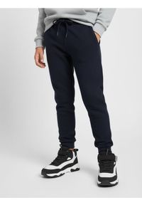 Sinsay - Spodnie dresowe jogger - granatowy. Kolor: niebieski. Materiał: dresówka