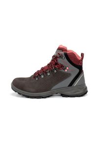 Damskie buty trekkingowe Chiruca Taiga 07 Gore-Tex. Kolor: brązowy, wielokolorowy, szary. Styl: sportowy