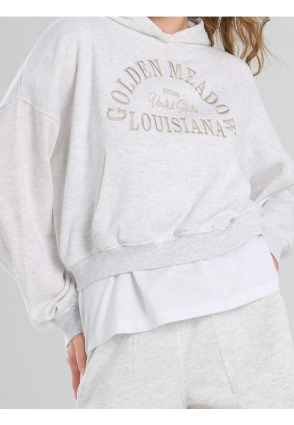 Sinsay - Bluza hoodie z haftowanym napisem - szary. Kolor: szary. Wzór: napisy, haft