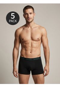 Sinsay - Bokserki Long 5 pack - wielobarwny #1