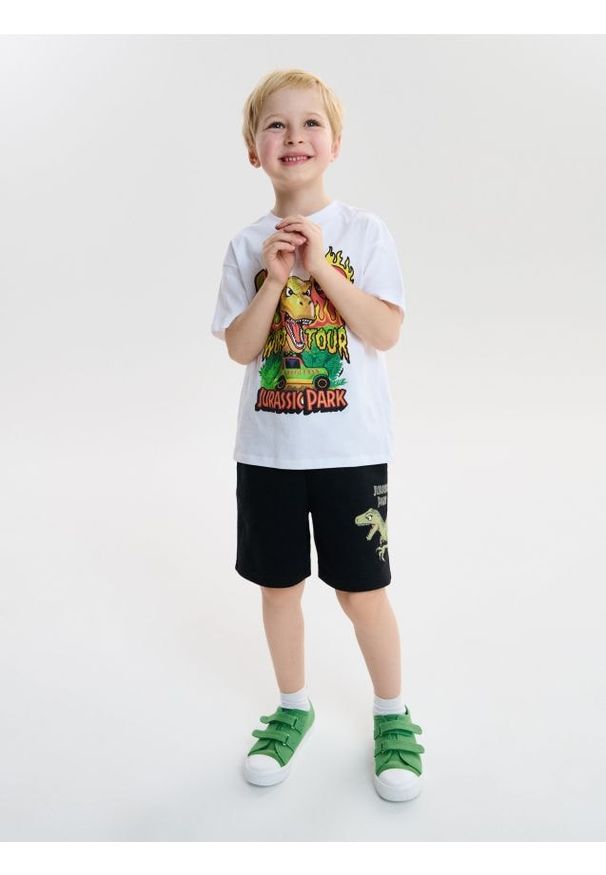 Sinsay - Bawełniane szorty z nadrukiem dinozaura - czarny. Kolor: czarny. Materiał: bawełna. Wzór: nadruk