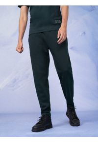 outhorn - Spodnie dresowe męskie. Materiał: dresówka #8