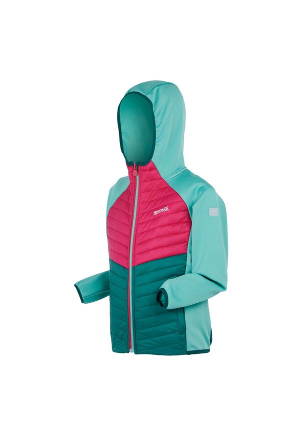 Kurtka turystyczna dla dzieci Regatta Kielder VIII softshell. Kolor: zielony. Materiał: poliester, elastan. Styl: sportowy, elegancki