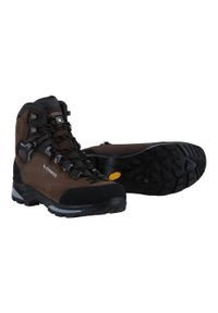 Buty trekkingowe męskie Lowa Camino Evo Gtx. Wysokość cholewki: za kostkę. Kolor: brązowy. Materiał: zamsz, tkanina. Szerokość cholewki: normalna