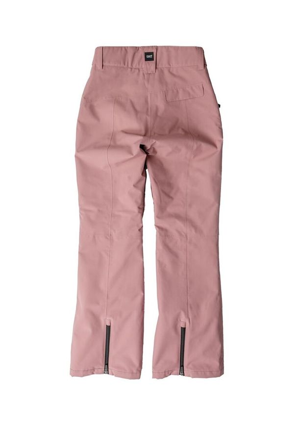 Spodnie narciarskie damskie Colourwear Cork. Kolor: różowy. Sezon: zima. Sport: narciarstwo