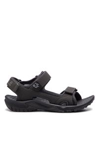 Jack Wolfskin Sandały Lakewood Cruise Sandal M 409011 Szary. Kolor: szary. Materiał: skóra