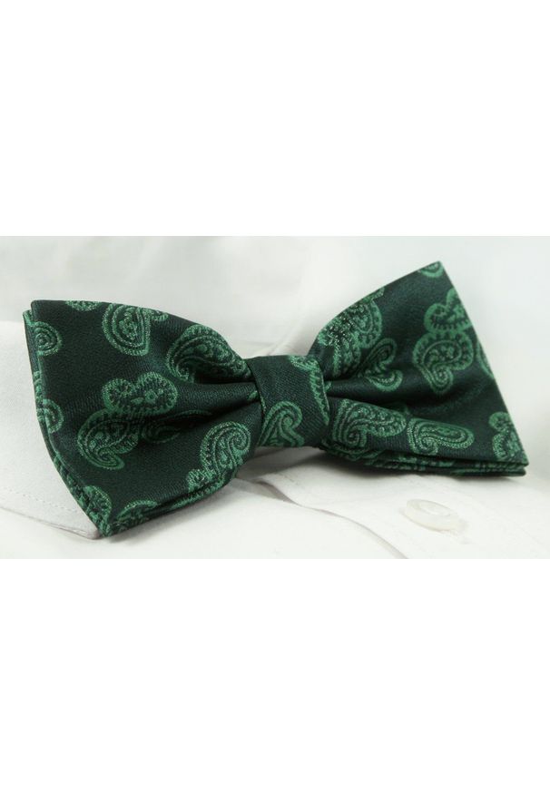 Mucha Męska z Poszetką Alties - Zielona ze Wzorem Paisley. Kolor: zielony. Wzór: paisley. Styl: sportowy, elegancki