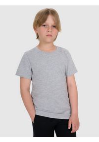 4f - 4F T-shirt regular gładki chłopięcy - szary 122 (6-7 lat). Okazja: na co dzień. Kolor: szary. Materiał: bawełna, materiał, jersey. Długość rękawa: krótki rękaw. Długość: krótkie. Wzór: gładki. Sezon: lato. Styl: klasyczny, młodzieżowy, sportowy, casual