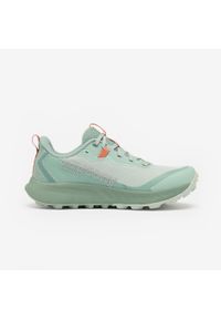Buty do biegania w terenie damskie Saucony Peregrine 15. Kolor: zielony. Wzór: geometria