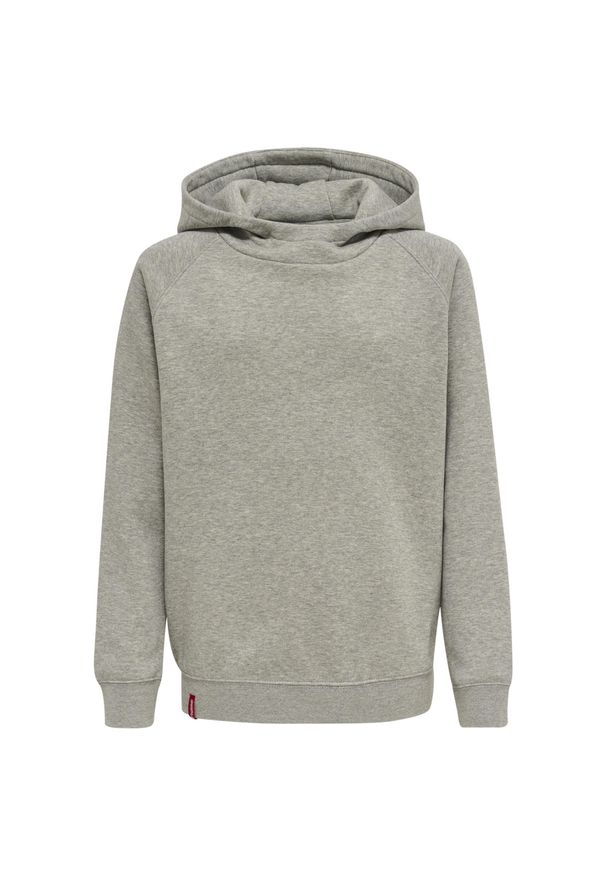Bluza z kapturem dla dzieci Hummel Red Classic. Typ kołnierza: kaptur. Kolor: szary. Sport: joga i pilates