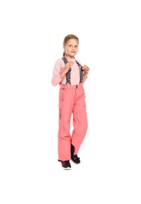Dziecięce spodnie narciarskie Kilpi Gabone. Kolor: różowy. Materiał: tkanina. Sezon: zima. Sport: narciarstwo #1