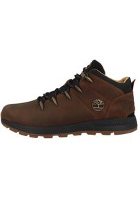 Buty do chodzenia męskie Timberland Euro Sprint Trekker Mid. Wysokość cholewki: za kostkę. Zapięcie: sznurówki. Kolor: brązowy. Materiał: skóra, materiał. Szerokość cholewki: normalna. Sport: bieganie, turystyka piesza