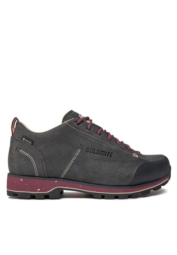 Dolomite Trekkingi W'S 54 Low Fg Evo Gtx GORE-TEX 292534 Szary. Kolor: szary