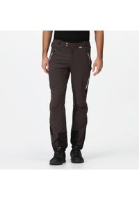 Regatta - Męskie spodnie trekkingowe górskie. Kolor: szary. Sezon: zima. Sport: turystyka piesza #1