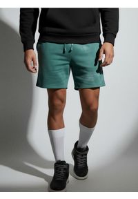 Sinsay - Luźne szorty wiązane w talii - zielony. Kolor: zielony #1