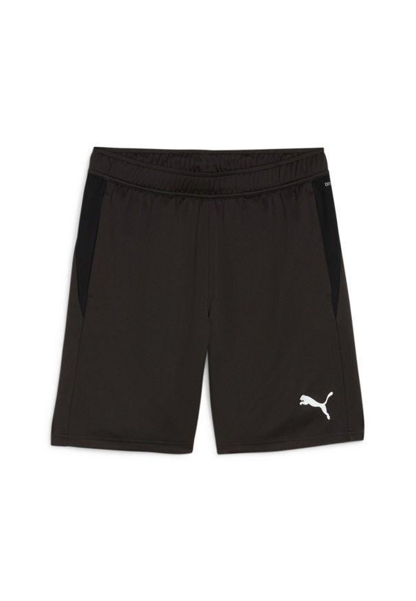Szorty Puma TeamGOAL. Kolor: czarny. Sport: fitness
