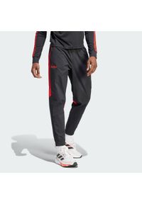 Adidas - Spodnie Predator 30th Anniversary Woven. Kolor: wielokolorowy, czerwony, czarny. Materiał: materiał