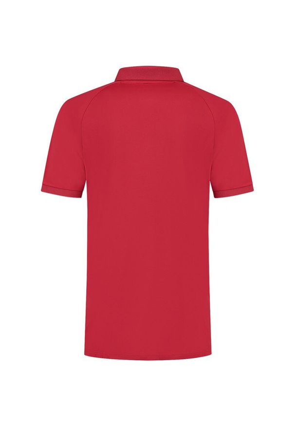 DUNLOP - Koszulka tenisowa męska Dunlop Club Polo z kołnierzykiem. Typ kołnierza: polo. Kolor: czerwony. Sport: tenis