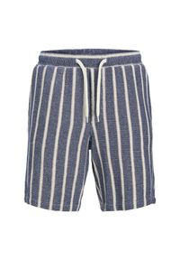 Szorty Jack & Jones Jaiden Coba Stripe ocean cavern. Kolor: szary, wielokolorowy. Sport: skateboard #1
