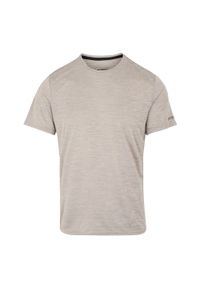 Regatta - T-shirt Męski Melanżowy Fingal Edition. Kolor: biały. Wzór: melanż. Sport: turystyka piesza