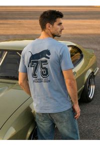 Sinsay - Bawełniana koszulka z nadrukiem na plecach - niebieski. Kolor: niebieski. Materiał: bawełna. Wzór: nadruk #1