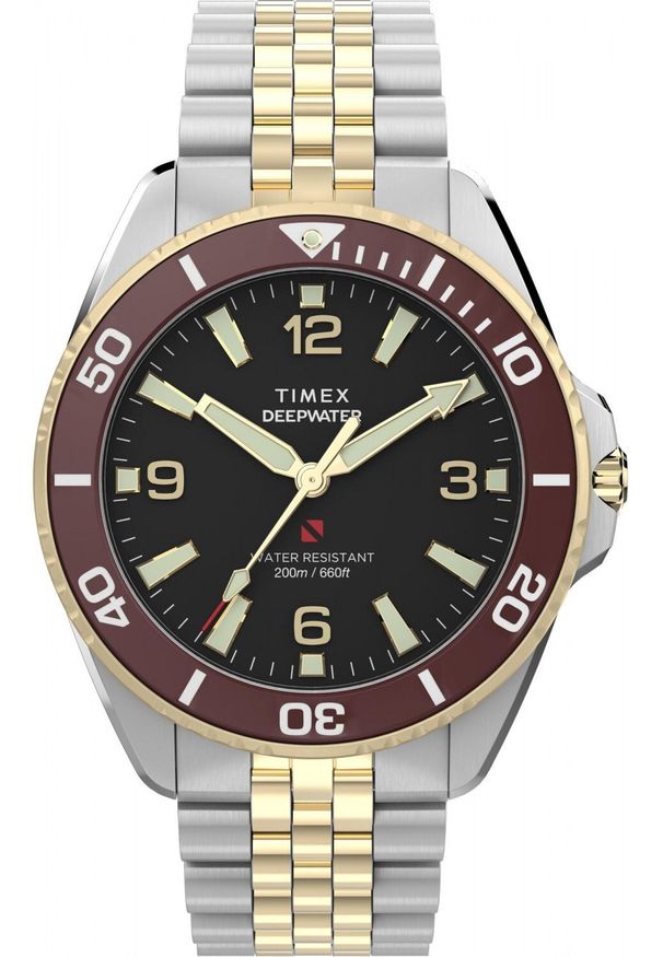 Zegarek Timex Zegarek męski Timex TW2Y64700 srebrny. Kolor: srebrny