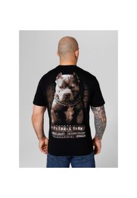 PITBULL - Koszulka bawełniana sportowy t-shirt dla dorosłych Mugshot II. Kolor: brązowy, wielokolorowy, czarny. Materiał: bawełna #1