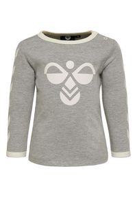 Koszulka dziecięca Hummel hmlFLIPPER. Kolor: szary. Materiał: skóra. Długość rękawa: długi rękaw #1
