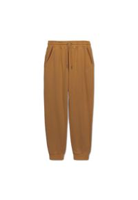 PITBULL - Spodnie męskie Pitbull Lancaster 2 Track Pants. Kolor: wielokolorowy, brązowy, zielony. Sport: fitness #1