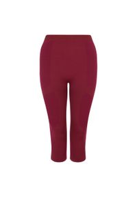 DARE 2B - Legginsy Damskie In The Zone II Panel 3/4. Kolor: fioletowy. Sport: turystyka piesza