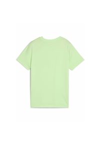 Puma - Młodzieżowa koszulka Graphics PUMA Spring Fern Green. Kolor: zielony. Materiał: guma. Wzór: nadruk