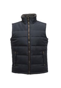 Regatta - Męska Ocieplana Kurtka Ocieplana Altoona. Kolor: niebieski. Sport: turystyka piesza #1