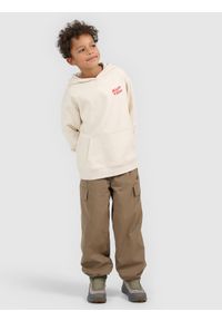 4f - 4F Spodnie casual cargo chłopięce - brązowe 146/152 (10-12 lat). Okazja: na co dzień. Kolor: brązowy. Materiał: tkanina. Sezon: lato. Styl: casual #1