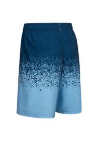 TRESPASS - Szorty Kąpielowe Męskie Adan. Kolor: niebieski. Styl: sportowy