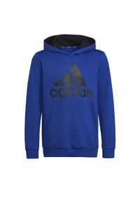 Bluza z kapturem Adidas dla dzieci Royal Blue Black - Komfort i styl. Typ kołnierza: kaptur. Kolor: czarny, niebieski, wielokolorowy. Sport: joga i pilates