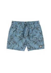 Spodenki kąpielowe męskie Volcom Lido Print. Kolor: niebieski. Materiał: poliester. Wzór: nadruk