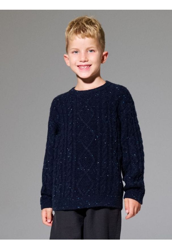 Sinsay - Sweter z dekoracyjnym splotem - granatowy. Kolor: niebieski. Wzór: ze splotem