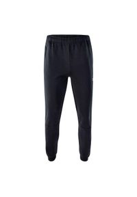 IQ - Spodnie Do Joggingu Męskie Vesilles. Kolor: czarny. Sezon: lato. Sport: bieganie #1