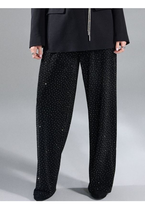 Sinsay - Spodnie wide leg z cyrkoniami - czarny. Kolor: czarny