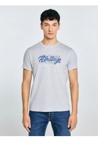 Big-Star - Koszulka męska z nadrukiem szara Keren 902. Kolor: szary. Materiał: bawełna. Wzór: nadruk #3