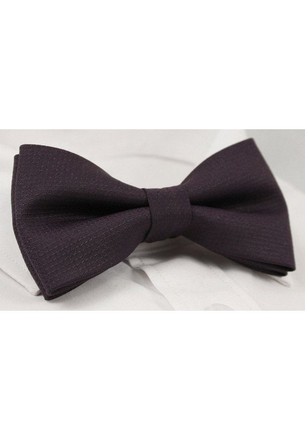 Fioletowa muszka EM Men's Accessories elegancka