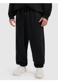 4f - 4F Spodnie dresowe joggery męskie 4F x Tomasz Fornal - szare XL. Kolor: szary. Materiał: dresówka. Wzór: aplikacja. Sport: fitness #2