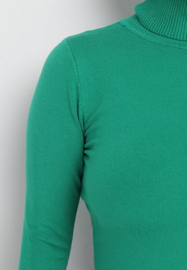 Born2be - Zielony Sweter Golf o Dopasowanym Fasonie Bewina. Typ kołnierza: golf. Kolor: zielony. Materiał: dzianina, tkanina. Długość rękawa: długi rękaw. Długość: długie. Wzór: aplikacja, gładki