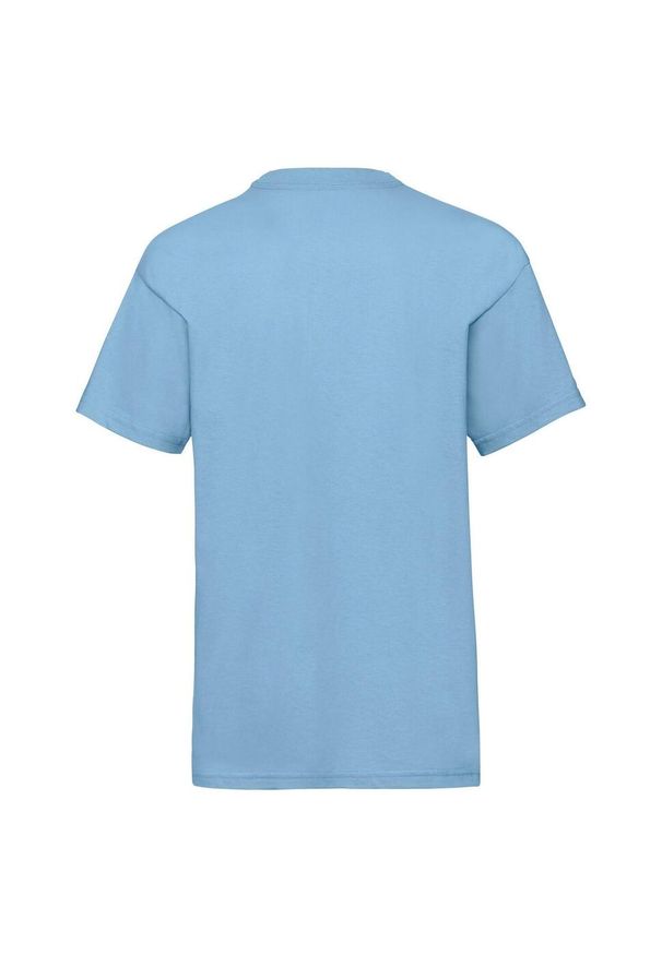 FRUIT OF THE LOOM - Koszulka Dziecięca Valueweight Plain T-shirt. Kolor: niebieski