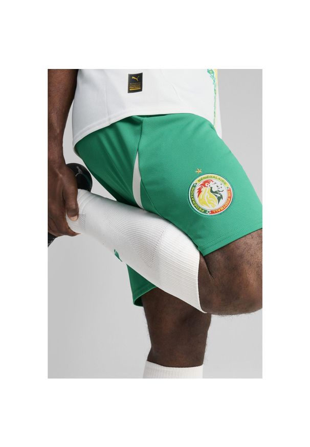 Puma - Męskie szorty Senegal 2025 PUMA Sport Green White. Kolor: biały, wielokolorowy, zielony. Wzór: aplikacja