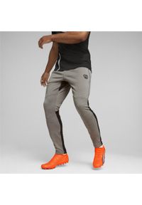 Spodnie Puma King Ultimate Training Pants, Mężczyźni. Kolor: szary. Materiał: poliester, materiał, dresówka. Sport: piłka nożna